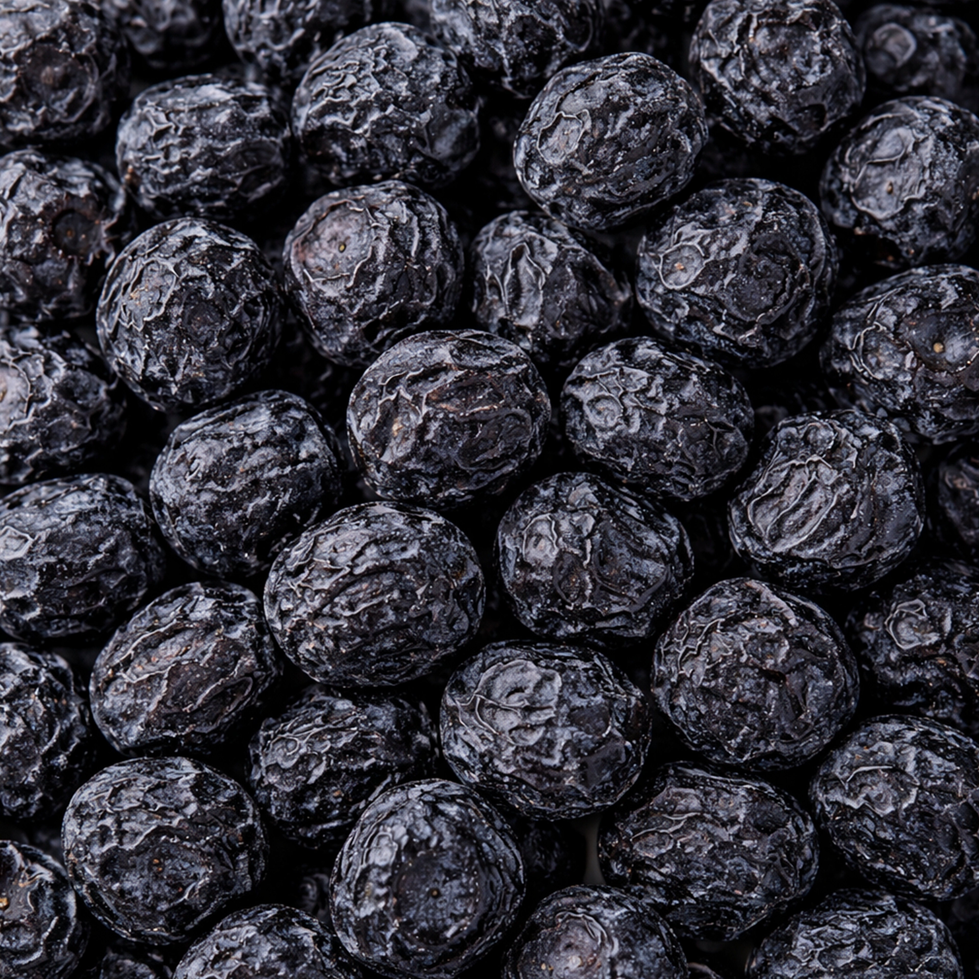 DRIED BLUEBERRY