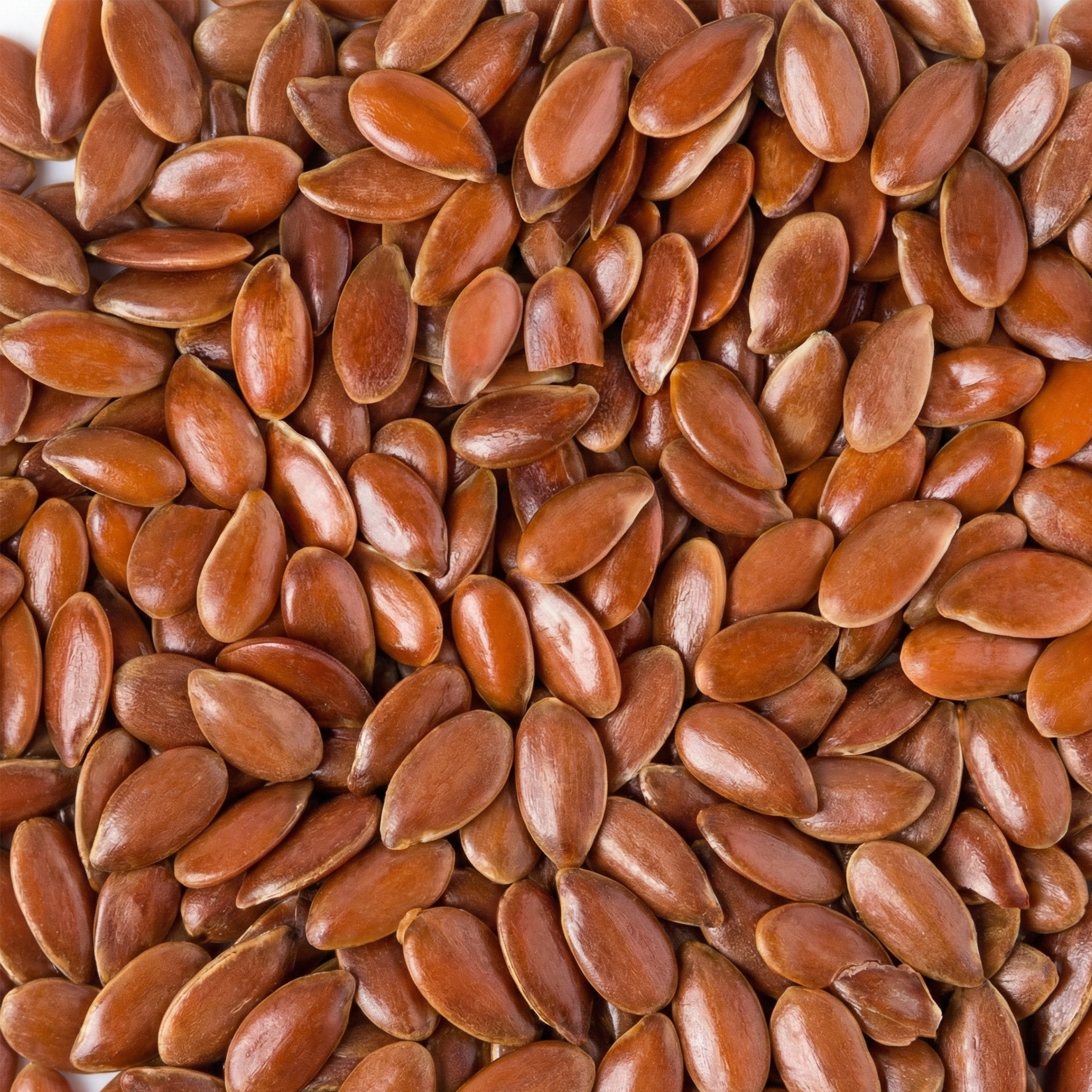 FLAX SEEDS